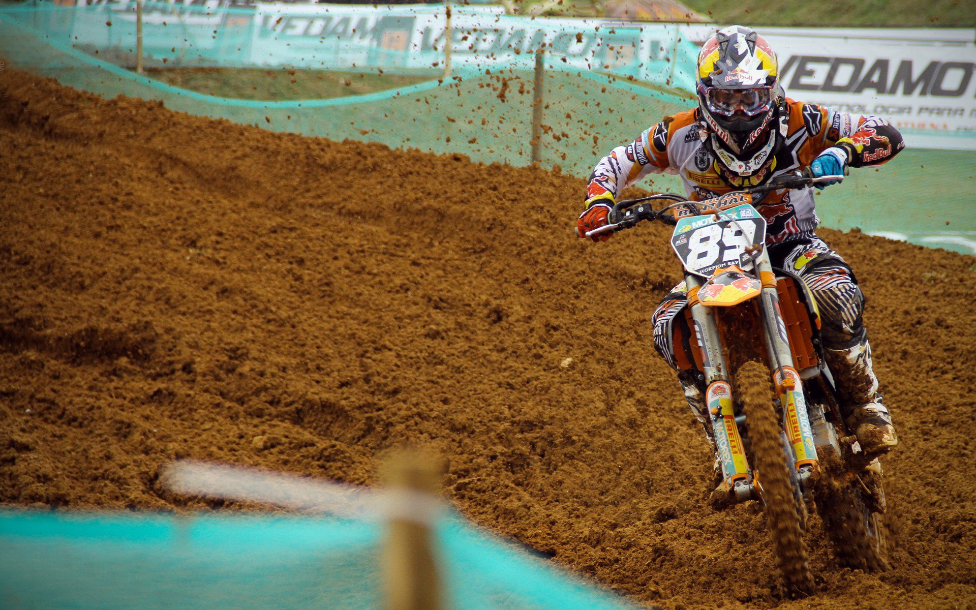 Major前瞻:种子队伍状态评估与黑马预测,种子队是什么队